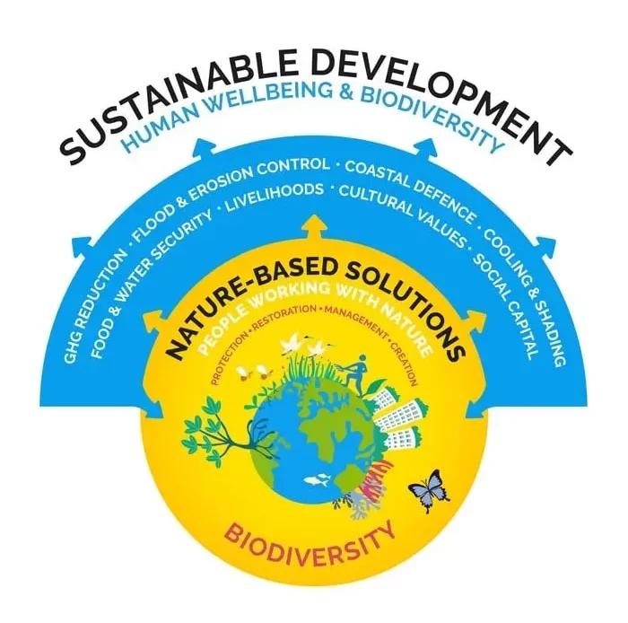 Image of a 'Sustainable Development human wellbeing & Biodiversity' Diagram
