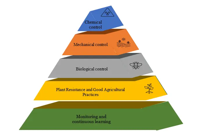 A pyramid structure. Green block: Monitoring and continuous learning. Yellow block: Plant resistance and good agricultural practices. Grey block: Biological control. Orange block: Mechanical control. Top blue: Chemical control.