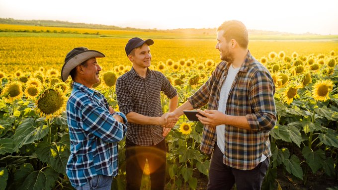 Uma imagem de três agricultores do sexo masculino apertando as mãos em um campo de girassóis - CABI BioProtection Portal