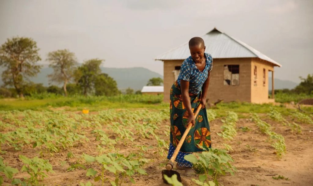 तंजानिया में महिला किसान अपने खेतों में हल चलाती हुई।