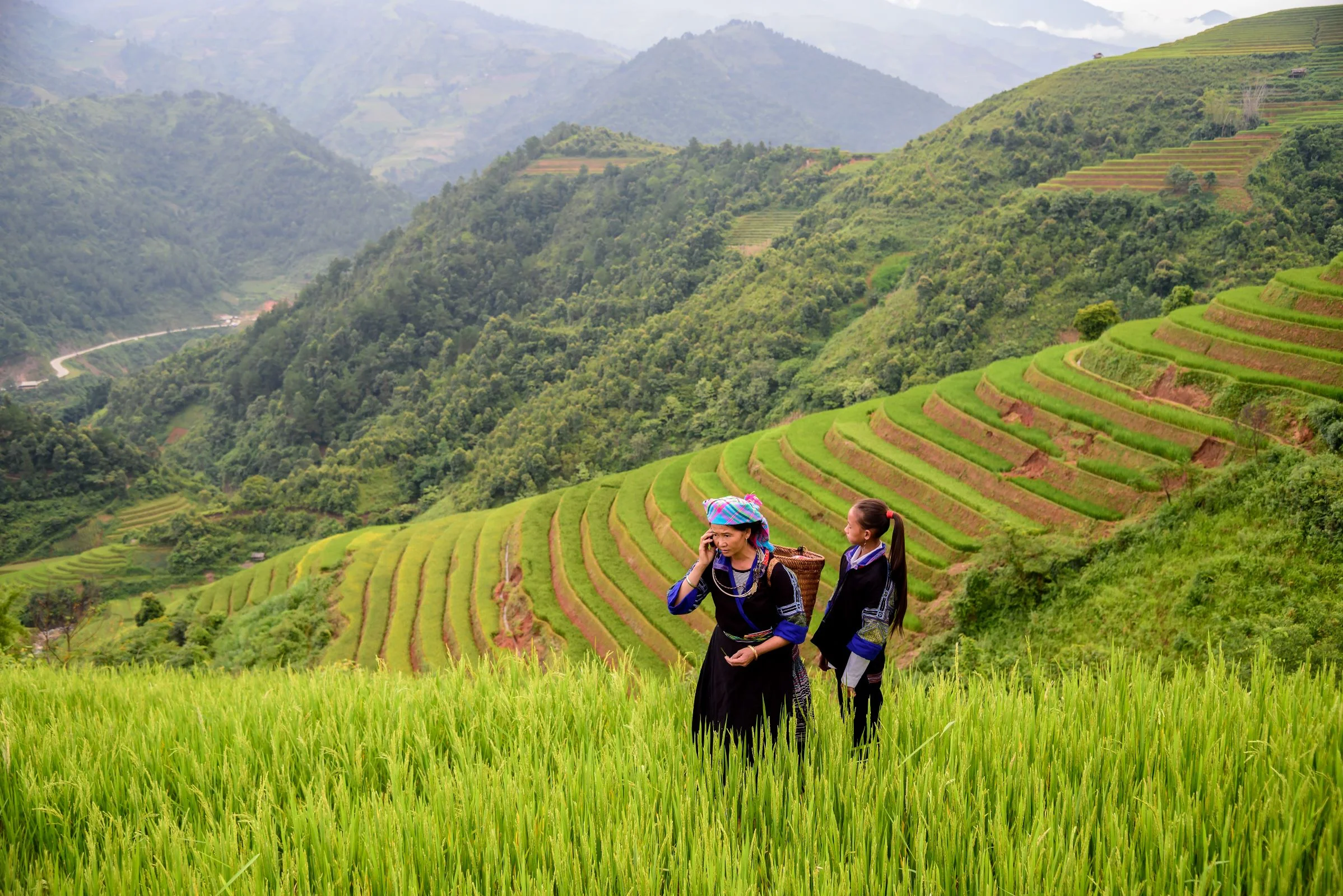 A woman farmer carry basket on shoulder work on rice terrace with her daughter use phone