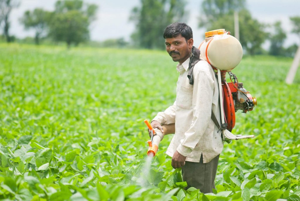 Seorang petani menyemprotkan pestisida di ladangnya