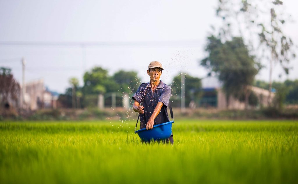 A farmer in Vietnam, sowing seeds in a field.