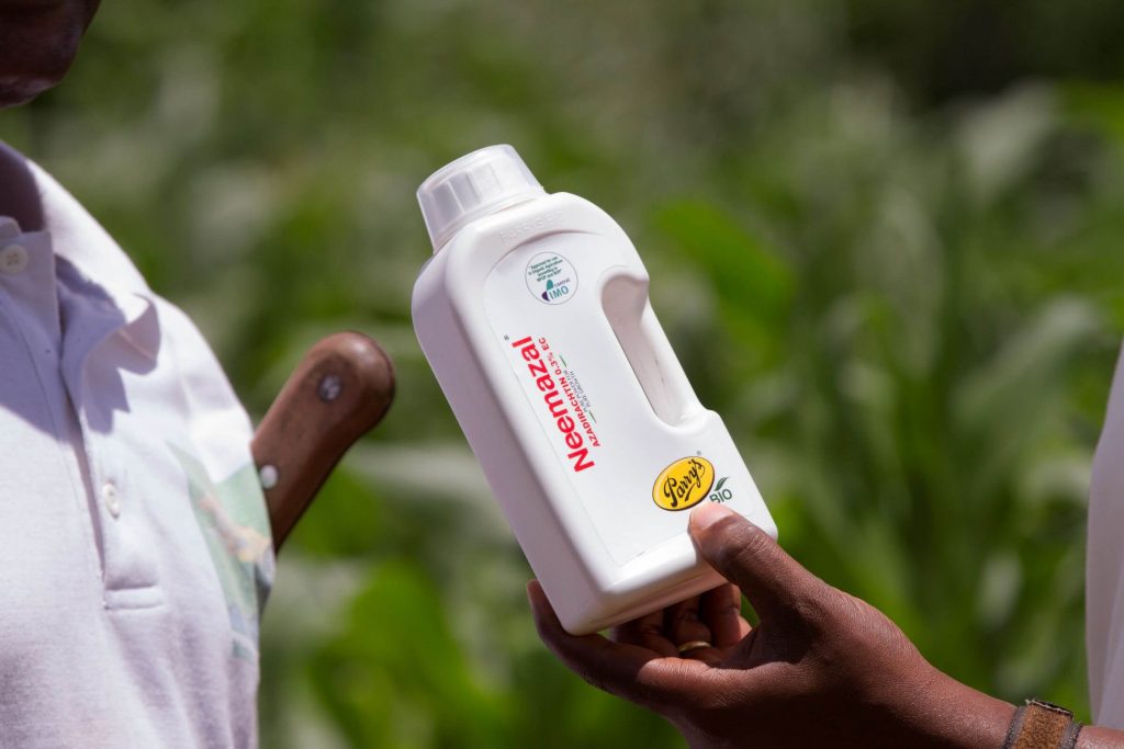 A bottle of insecticide in a farmer's hand to tackle fall armyworm