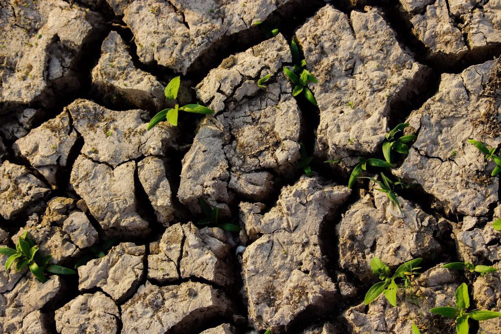 Close-up of a cracked soil caused by droughts