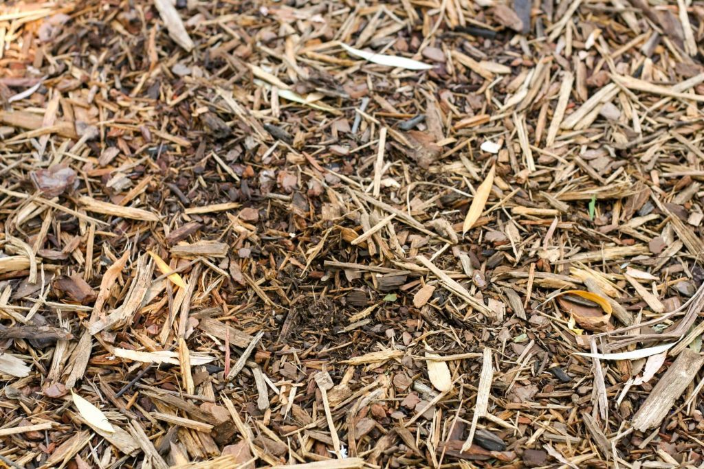 Close-up of mulch made from shredded plant waste. 