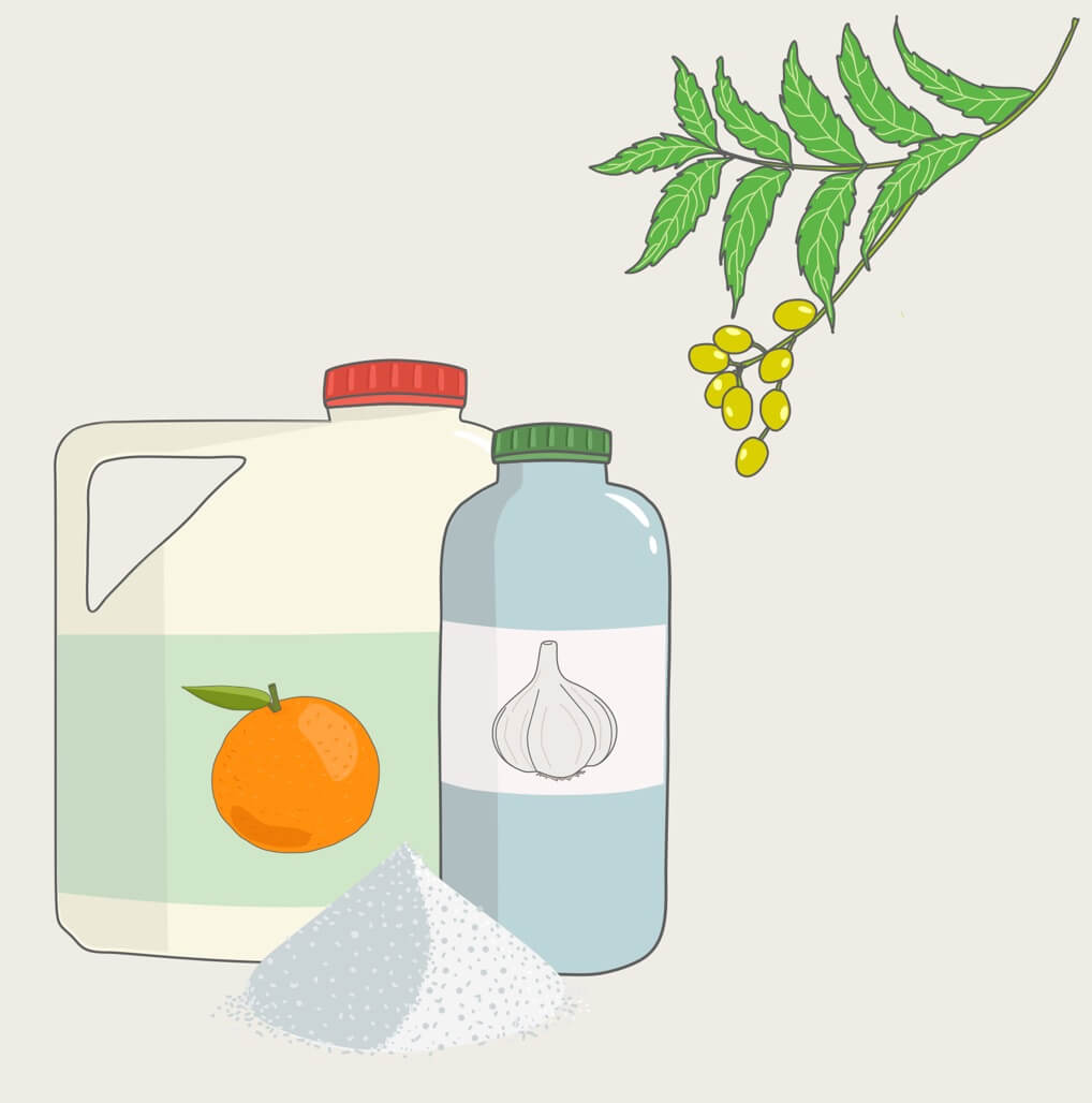 Naturalsubstance image