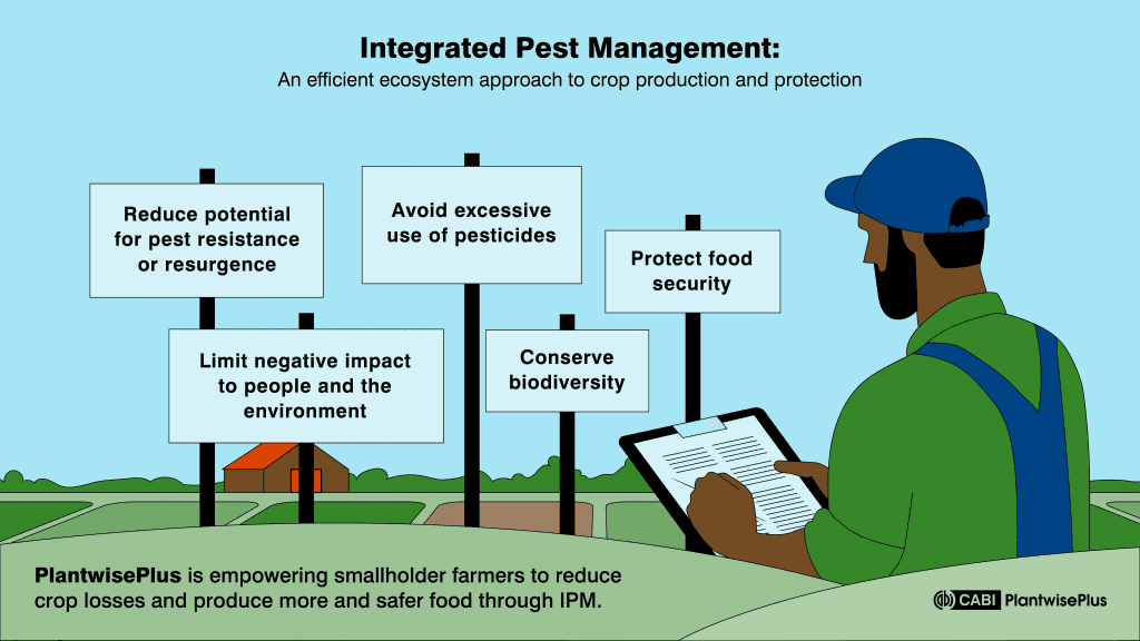 An image showing a farmer looking a 5 signs showing the benefits of using an IPM approach 