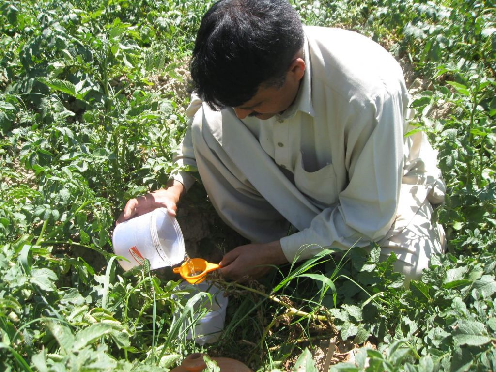 A man kneeling on the ground pouring a solution in a pitfall trap