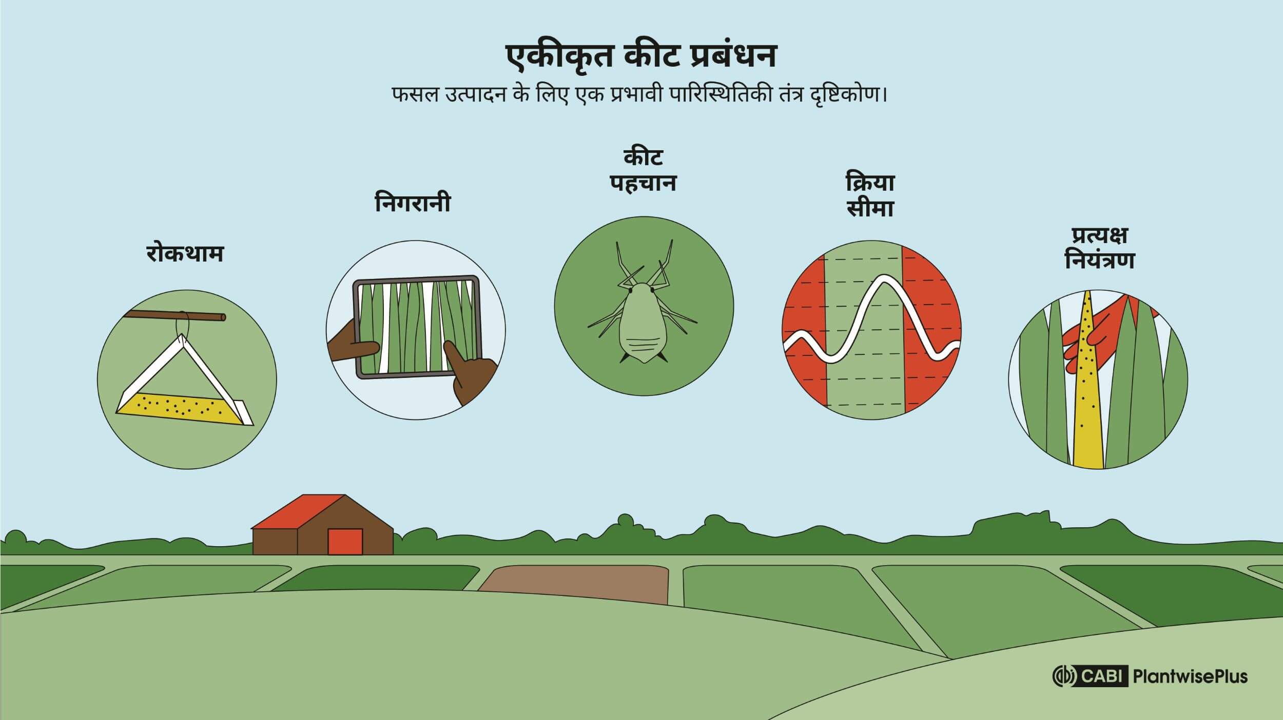 Infografik yang menunjukkan elemen utama Pengurusan Perosak Bersepadu (IPM), termasuk Pencegahan, Pemantauan, Pengenalpastian Perosak, Ambang Tindakan dan Kawalan Langsung.