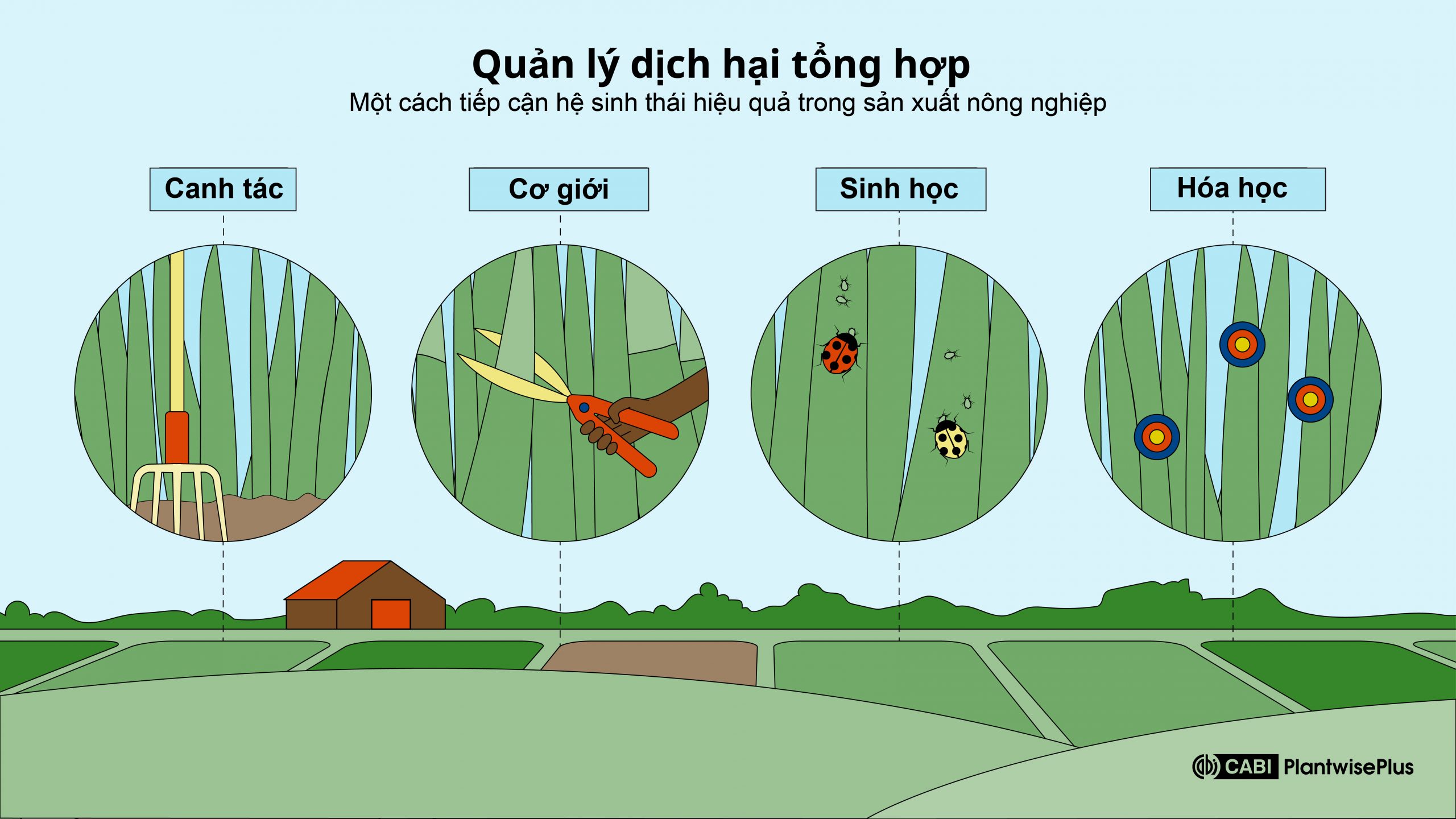 Hình ảnh hiển thị 4 chiến lược khác nhau có trong Quản lý dịch hại tổng hợp (IPM). Văn hóa, cơ khí, sinh học và hóa học